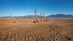 The planet's record-breaking hot weather has caused severe drought in places like here in South Africa.