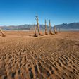 The planet's record-breaking hot weather has caused severe drought in places like here in South Africa.