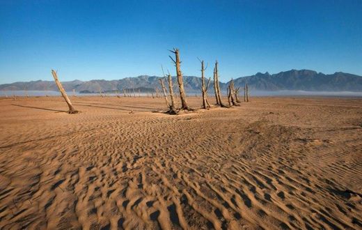 The planet's record-breaking hot weather has caused severe drought in places like here in South Africa.