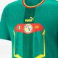 maillot extérieur du Sénégal