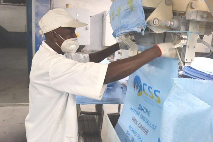 Production de sucre - Sénégal