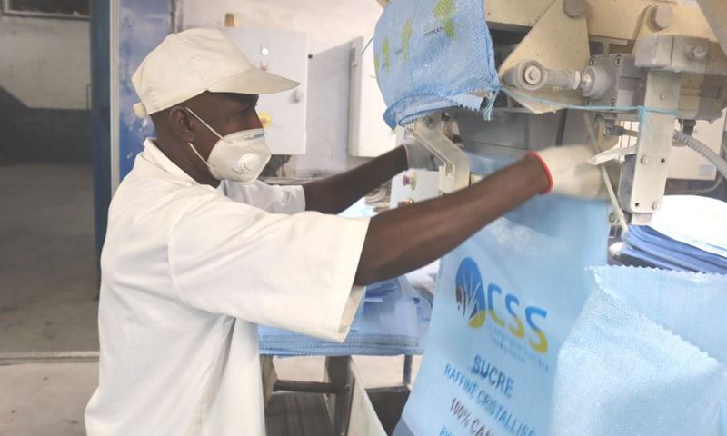 Production de sucre - Sénégal