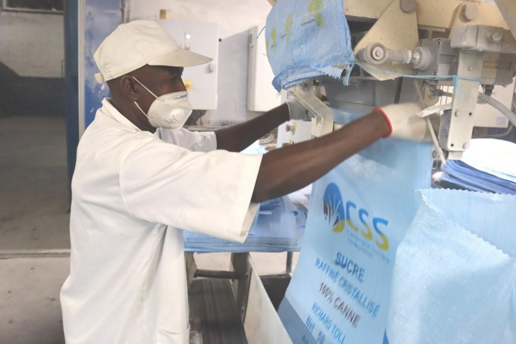 Production de sucre - Sénégal