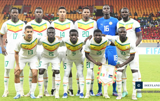 lions du sénégal photo APS