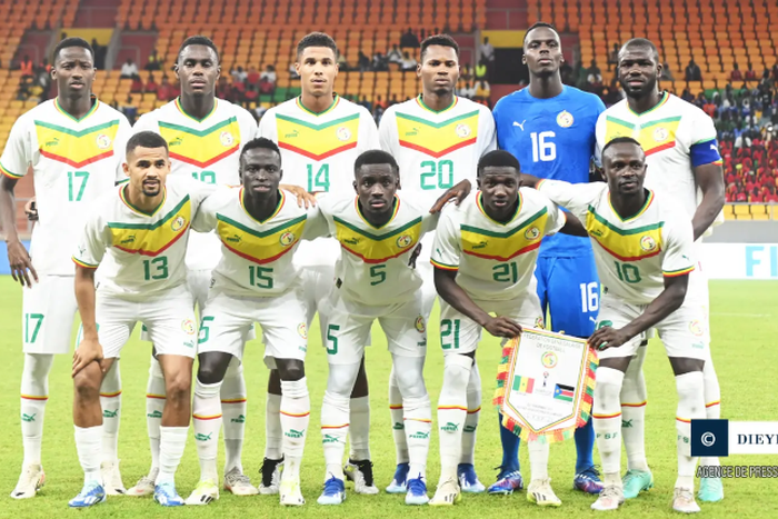 lions du sénégal photo APS