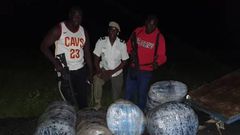 Près de 300 kg de chanvre saisis entre Mbour et Diouloulou