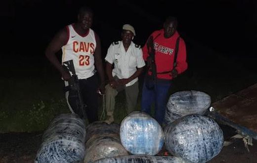 Près de 300 kg de chanvre saisis entre Mbour et Diouloulou