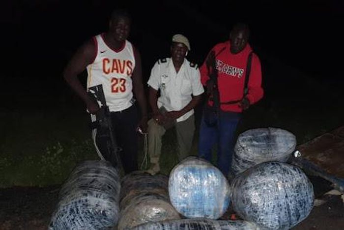 Près de 300 kg de chanvre saisis entre Mbour et Diouloulou