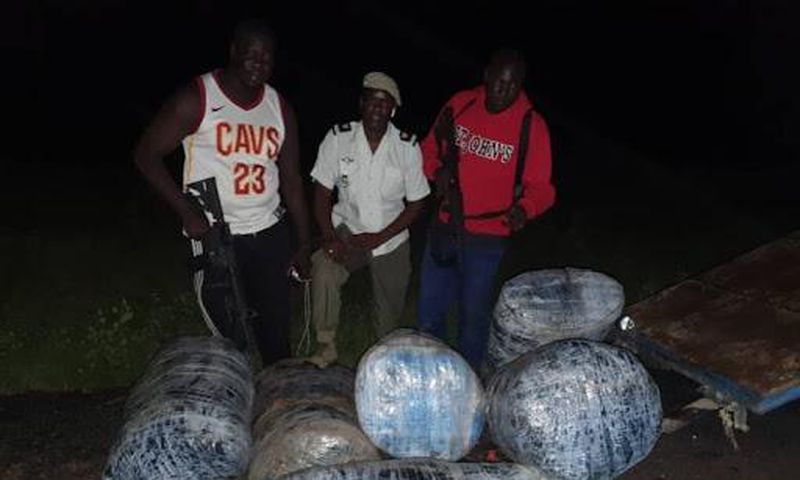 Près de 300 kg de chanvre saisis entre Mbour et Diouloulou