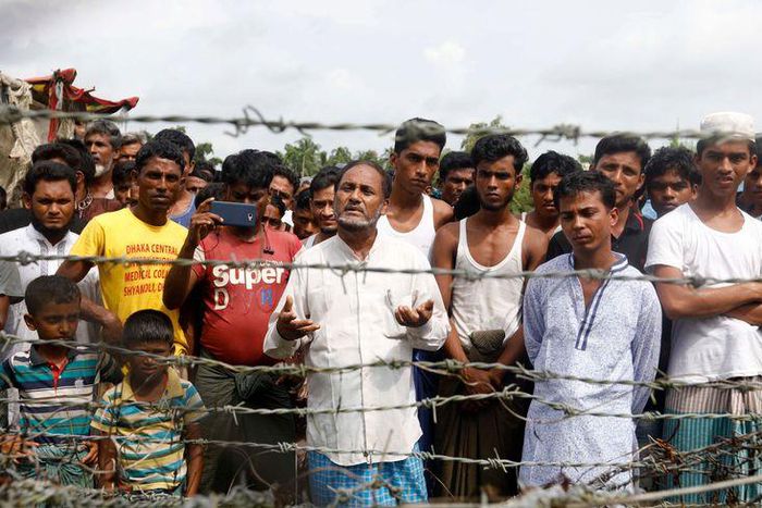 Groupes de refugiés Rohingy