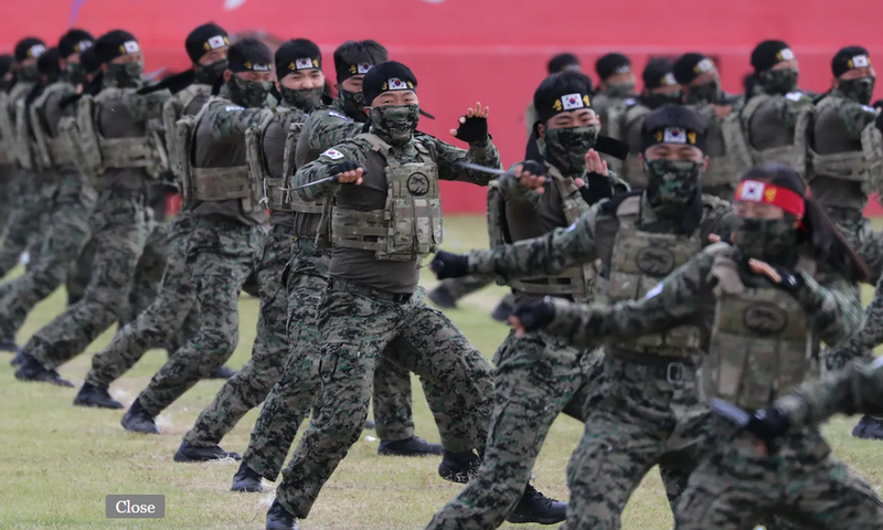 South Korean Special Army soldiers perform martial arts during a rehearsal [AFP/South Korean Defence Ministry]