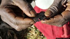 Au Sénégal, l'excision persiste avec un taux de 25%