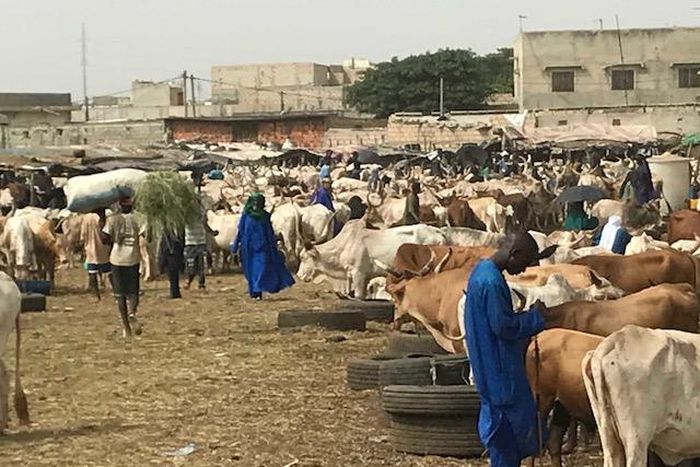 Foirail de Diamaguène Sicap Mbao
