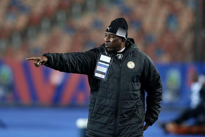 Senegal-coach-Malick-Daf-gestures-instructions