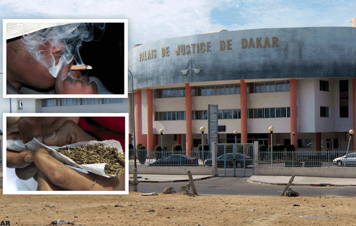 Palais-de-justice-de-Dakar,-chanvre-indien
