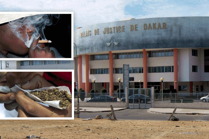 Palais-de-justice-de-Dakar,-chanvre-indien