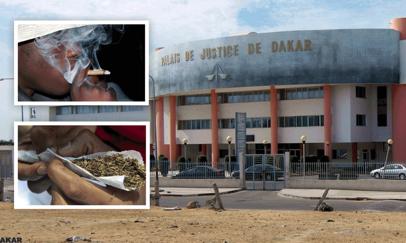 Palais-de-justice-de-Dakar,-chanvre-indien