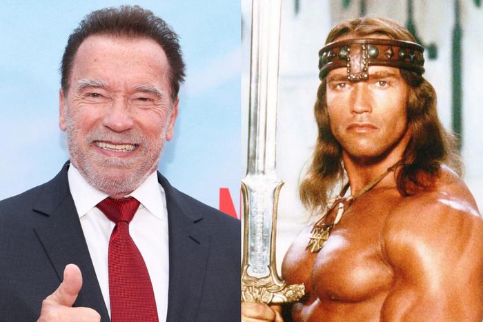 Arnold Schwarzenegger at the "FUBAR" premiere in Los Angeles, California, and as the lead in "Conan the Barbarian."Mark Von Holden/Variety via Getty Images)