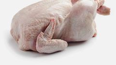 poulet-de-chair01