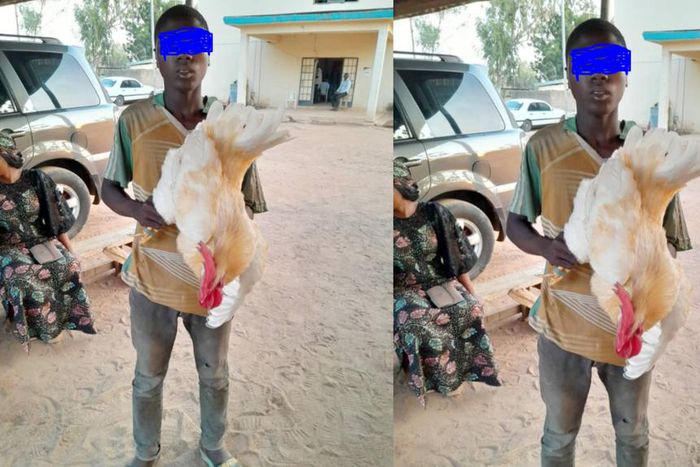 Police arrest 17-year-old boy for having sex with a cock