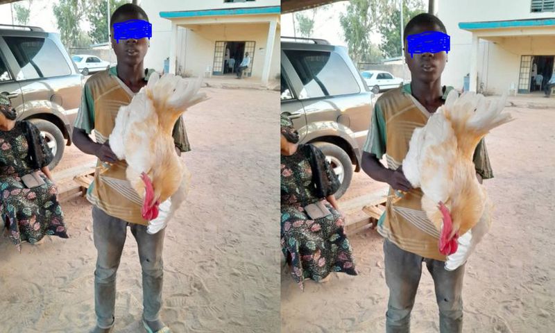 Police arrest 17-year-old boy for having sex with a cock