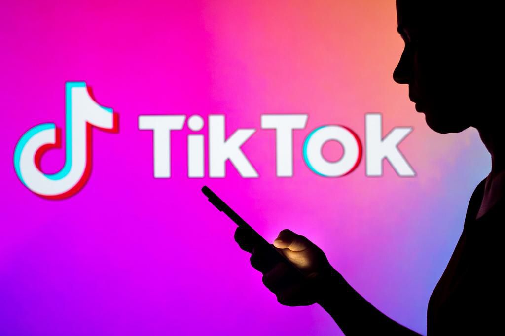TikTok launched "Project Clover" to convince lawmakers data will be safe.Rafael Henrique/SOPA Images/LightRocket via Getty Images