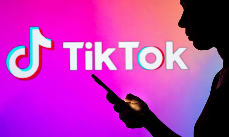 TikTok launched "Project Clover" to convince lawmakers data will be safe.Rafael Henrique/SOPA Images/LightRocket via Getty Images