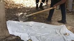 Femme morte calcinée
