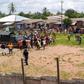 cameroun