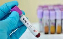 dengue