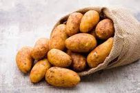 pomme de terre