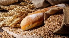 A elle deux, la Russie et l'Ukraine comptent 56,8% -la Russie avec 50,8%- des importations de blé, utilisé pour la production du pain au Sénégal
