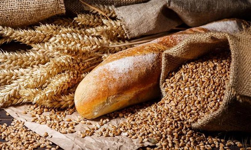 A elle deux, la Russie et l'Ukraine comptent 56,8% -la Russie avec 50,8%- des importations de blé, utilisé pour la production du pain au Sénégal