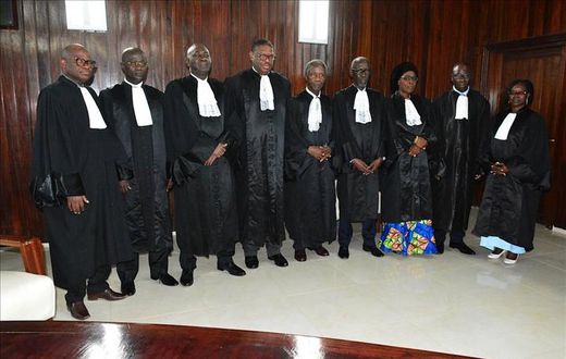 Les membres du Conseil Constitutionnel