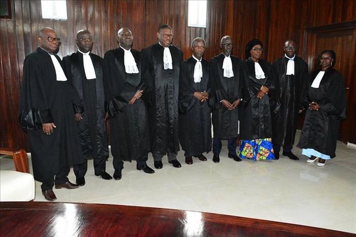 Les membres du Conseil Constitutionnel