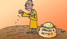 Graines de dette