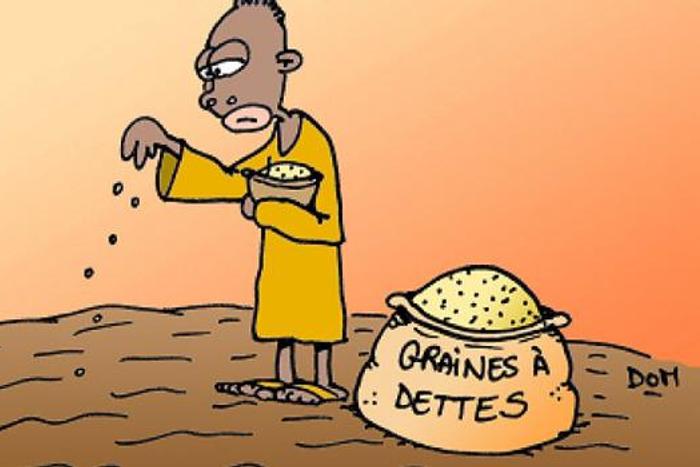 Graines de dette
