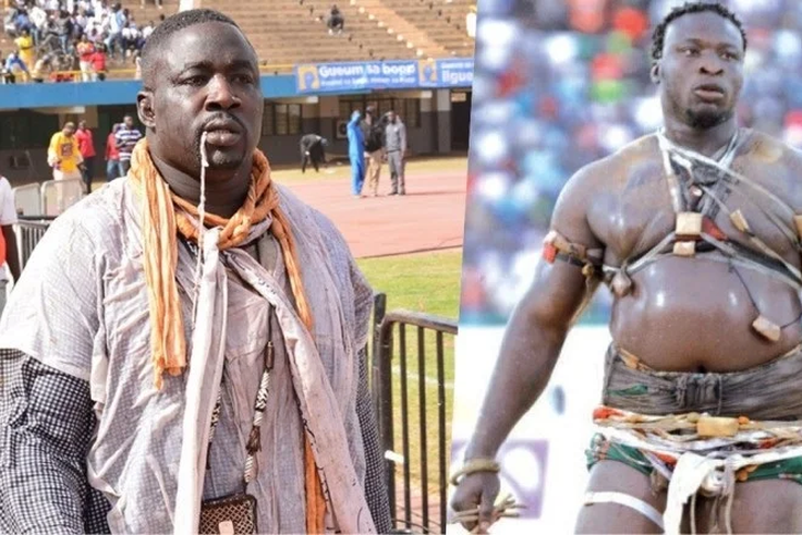 ama-balde-gris-bordeaux (1)