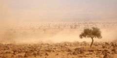 Sahel