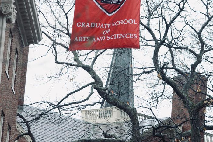 Harvard University / Manu Ros via Unsplash