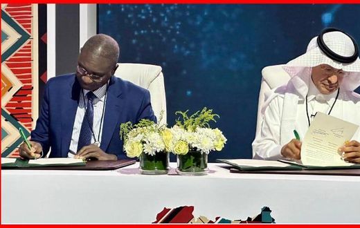 Ismaila Madior Fall signe un accord de partenariat et un mémorandum d’entente entre les deux pays