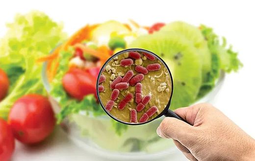 Maladies d'origine alimentaire