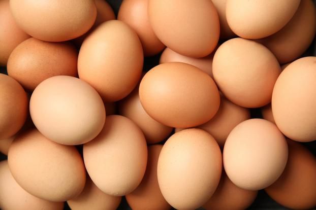 Oeuf