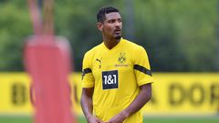 Borussia Dortmund striker Sebastien Haller has been diagnosed with testicular tumour