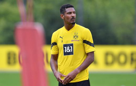Borussia Dortmund striker Sebastien Haller has been diagnosed with testicular tumour