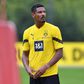 Borussia Dortmund striker Sebastien Haller has been diagnosed with testicular tumour