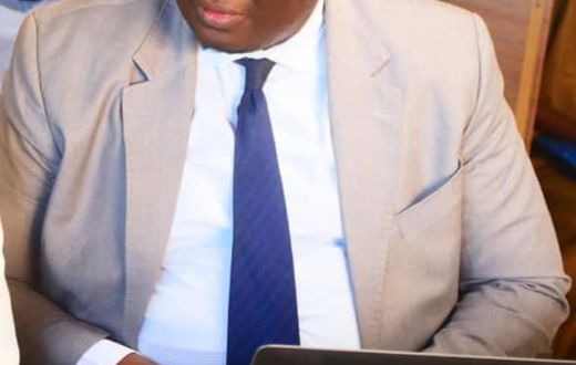 Souleymane DIALLO, Expert Urbaniste