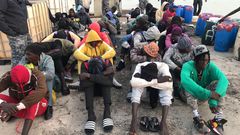 Migrants