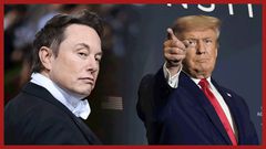 Après-avoir-rétabli-son-compte,-Elon-Musk-tente-de-faire-tweeter-Donald-Trump