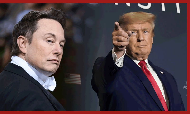Après-avoir-rétabli-son-compte,-Elon-Musk-tente-de-faire-tweeter-Donald-Trump